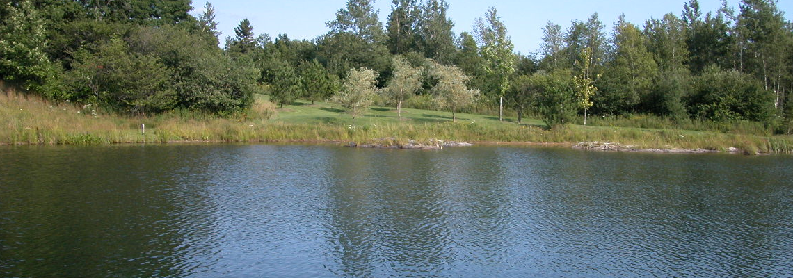 Protection et habitat du poisson